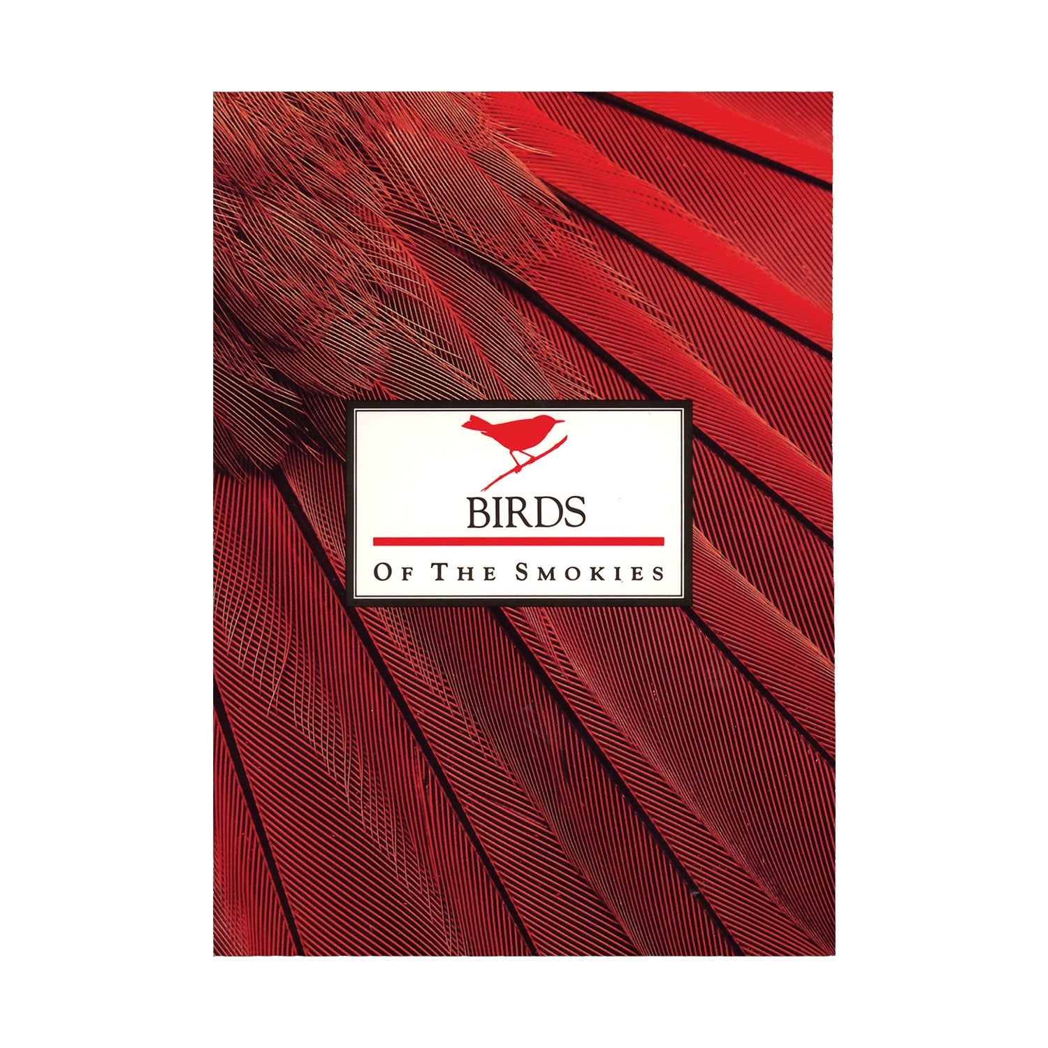 Birds Of The Smokies